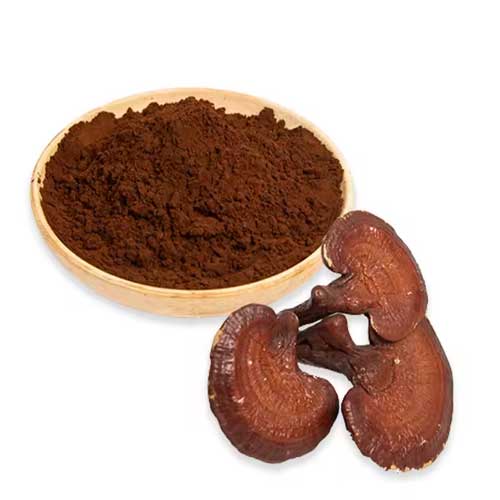 Meditional masroom powder